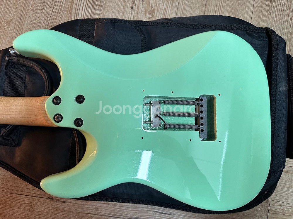 스윙일렉기타와 레이니엠프--4