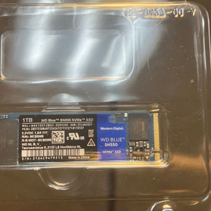 wd m.2 ssd 1테라