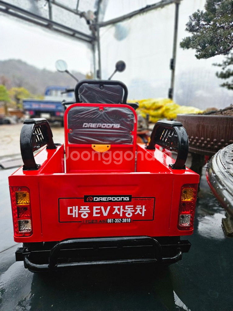 대픙 전기 삼륜 자동차 (화물 겸용)--1