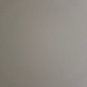 정태영님