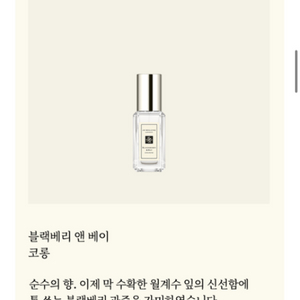 조말론 블랙베리 앤 베이 향수 9ml