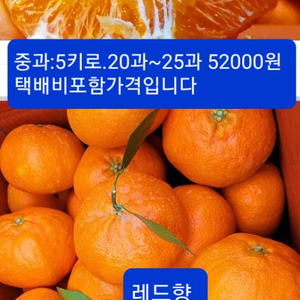 레드향.한라봉.