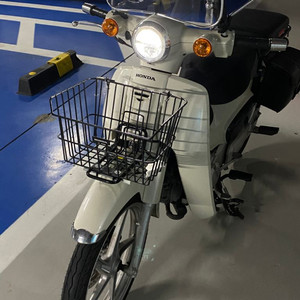 슈퍼커브 110 베이지