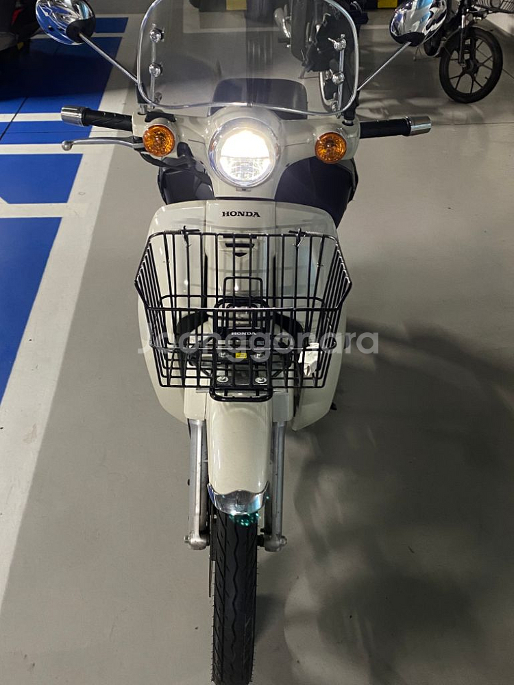 슈퍼커브 110 베이지--1