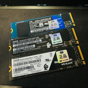 wd ssd nvme sn550 sn770 sn700