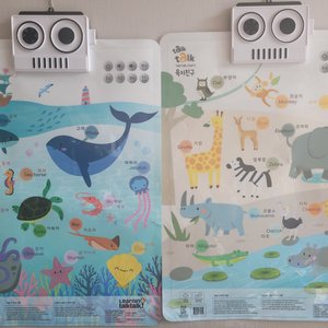 아기 유아 교육 사운드 벽보 포스터 바다,육지동물 일