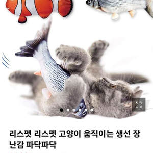 고양이 장난감 파닥파닥 생선