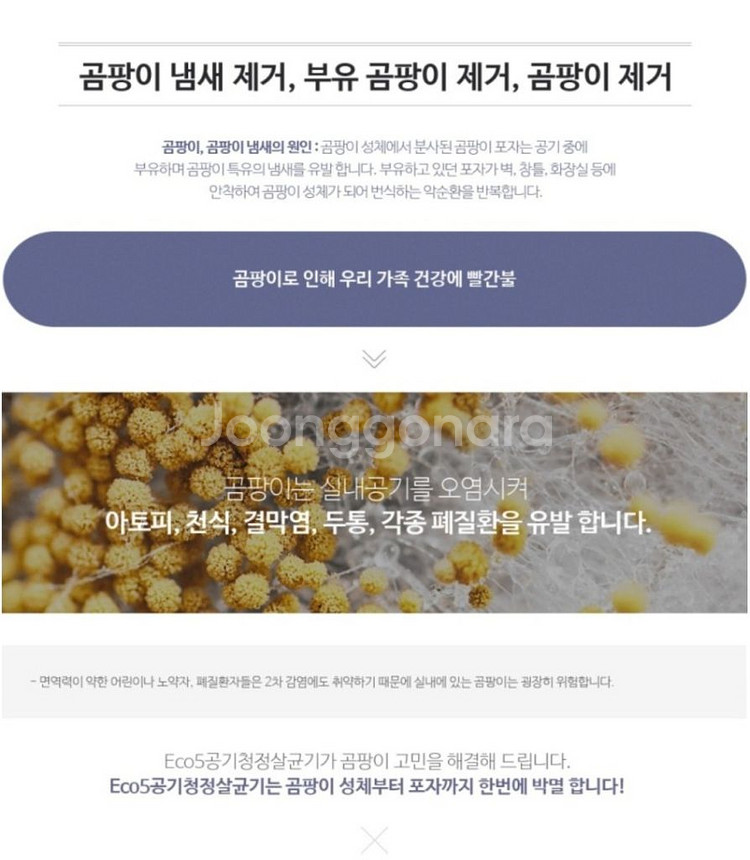 공기청정기 살균기 복합기 곰팡이 세균 제거 라돈--6