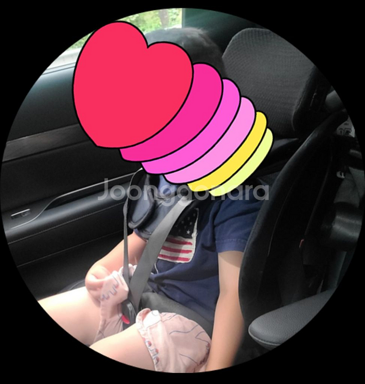 포브 보네떼 카시트--1