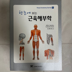 한눈에 보는 근육해부학 - 상세도서 구입 문의