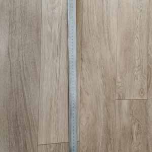 버니어캘리퍼스 600