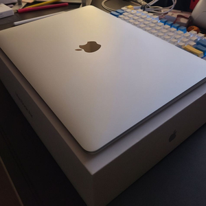 맥북에어 m1 8기가 256기가, 기본형