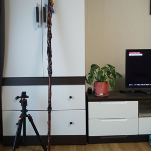 연수목(감태나무)지팡이.등산스틱