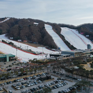 소노벨 비발디파크 패밀리 2월 9일 양도