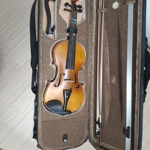 성인 바이올린
