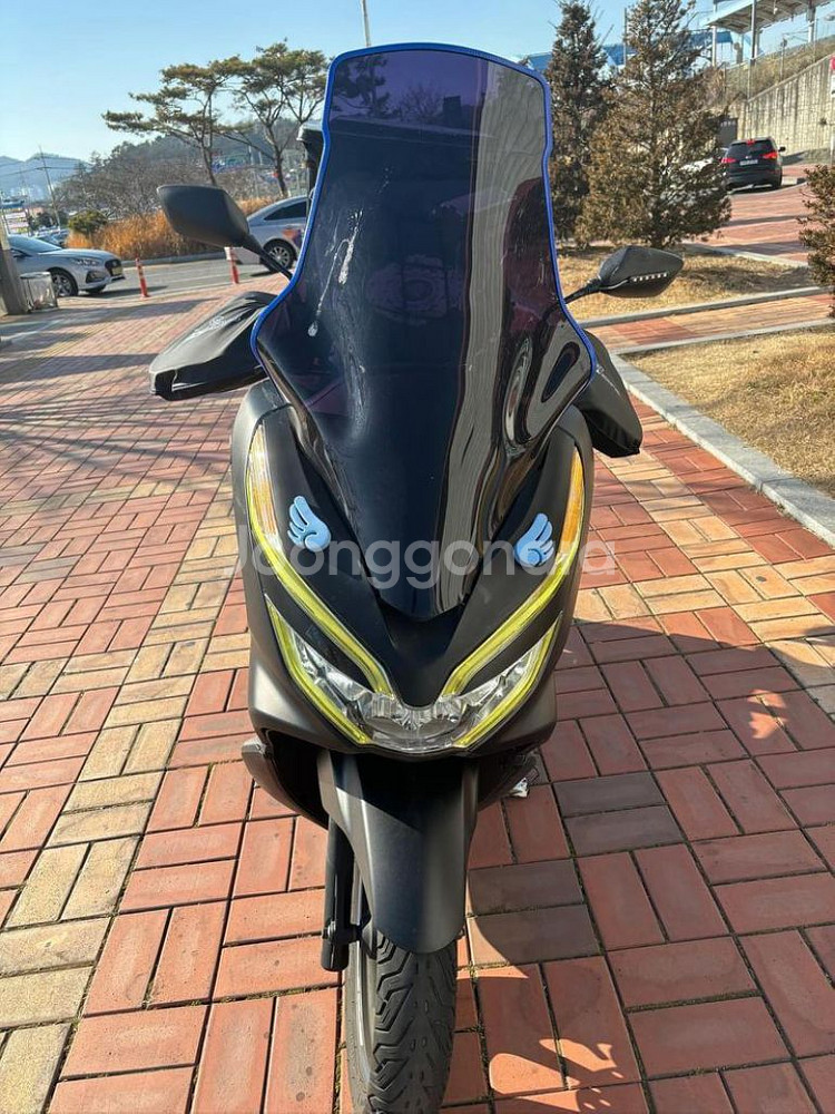 pcx125 20년식 풀튜닝--3