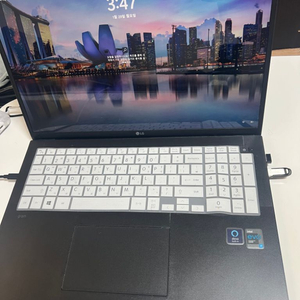 LG 그램 17인치 경량 노트북 1TB