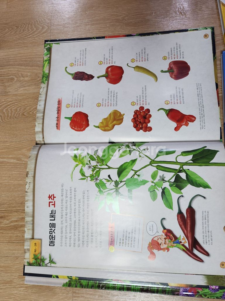 동물백과,곤충백과 외--1