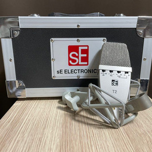 sE Electronics T2