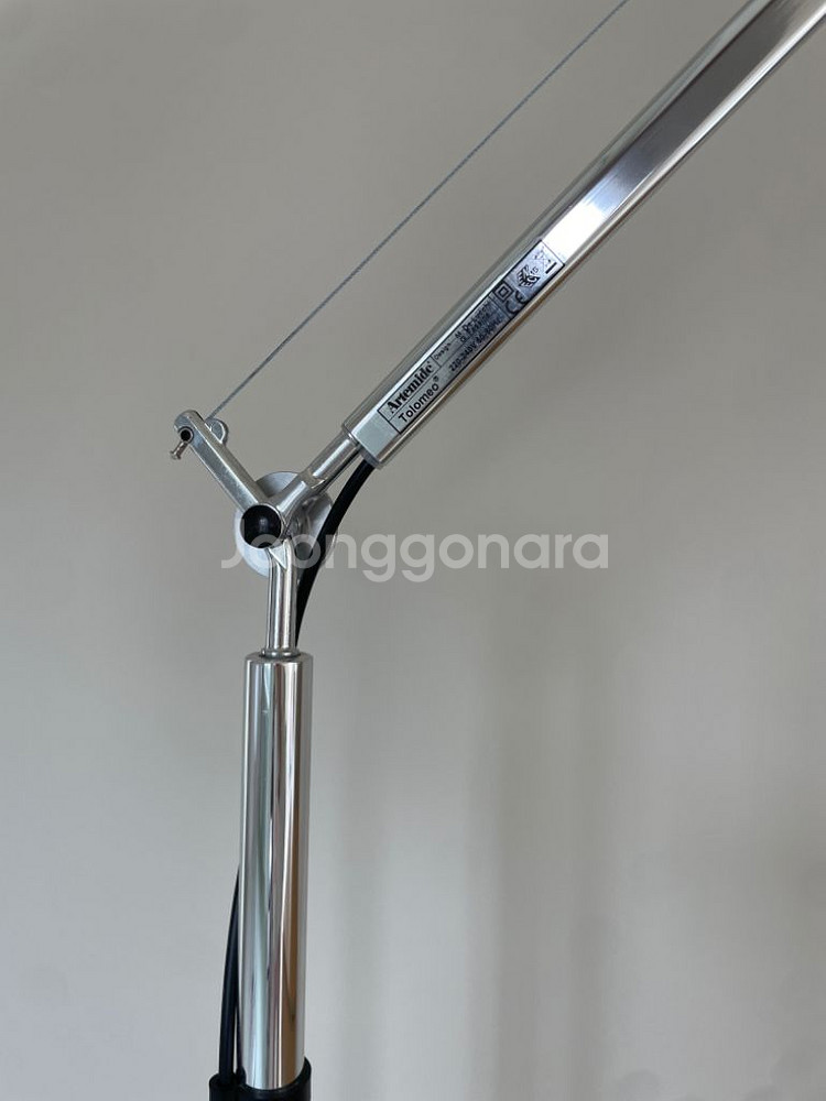 아르떼미데 톨로메오 메가--8