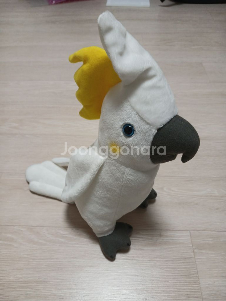 앵무새 인형--1