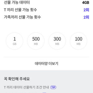 skt데이터 2기가