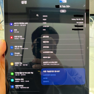 갤럭시탭 s8플러스 5G, 256G