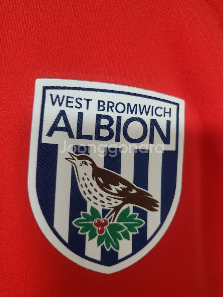 푸마 웨스트브롬위치 트레이닝 상의 해외라지--3