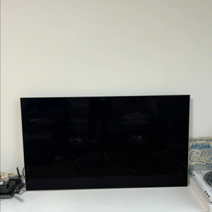 LG전자 OLED 55인치 TV (벽걸이 브라켓 포함)