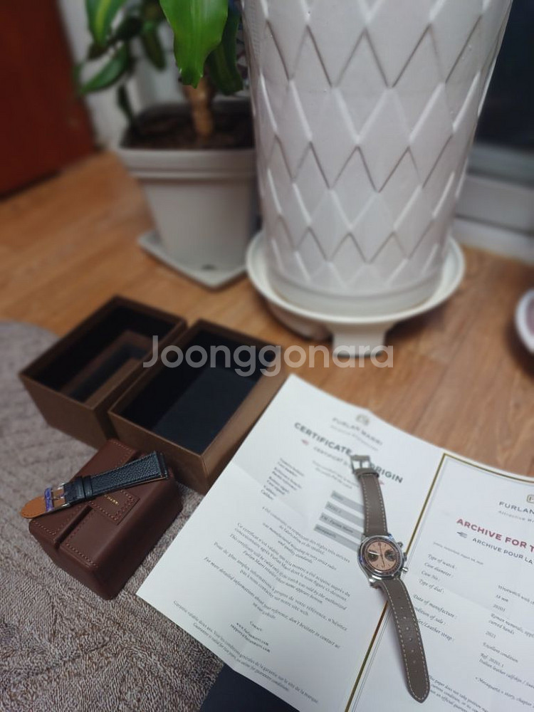 풀란마리 하바나 살몬--9
