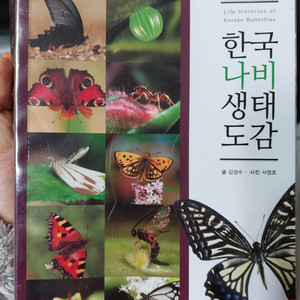 한국 나비 생태 도감