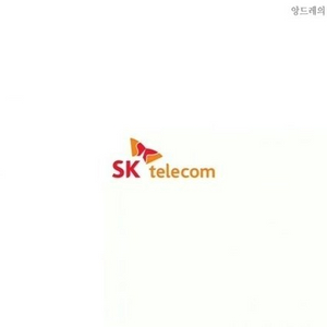 skt 데이터 2기가