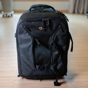 Lowepro Pro Runner BP 450 AW1