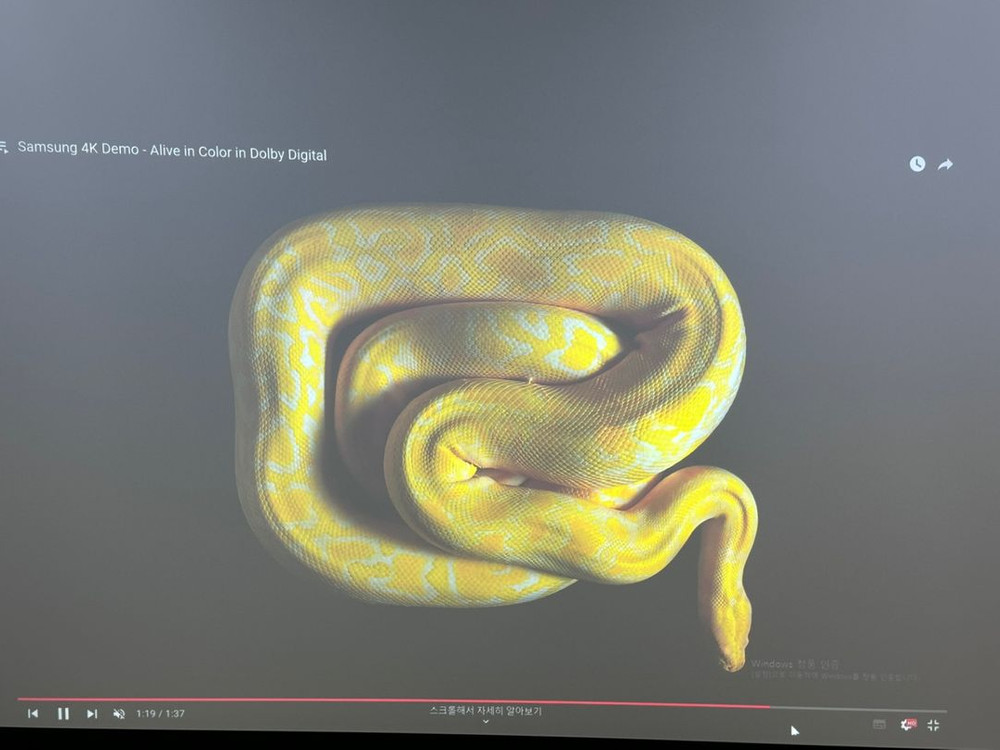 불키고 잘보이는 3100안시 NEC M311X 빔프로젝--4