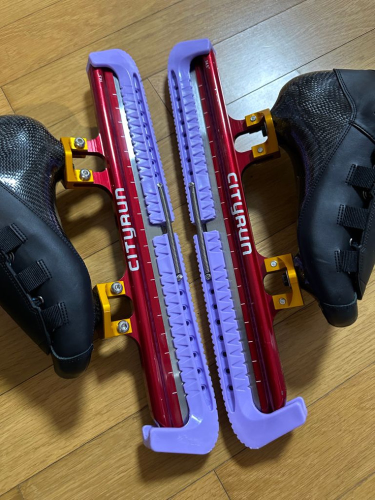 시티런 스케이트 220--2