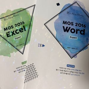 MOS 엑셀, 워드