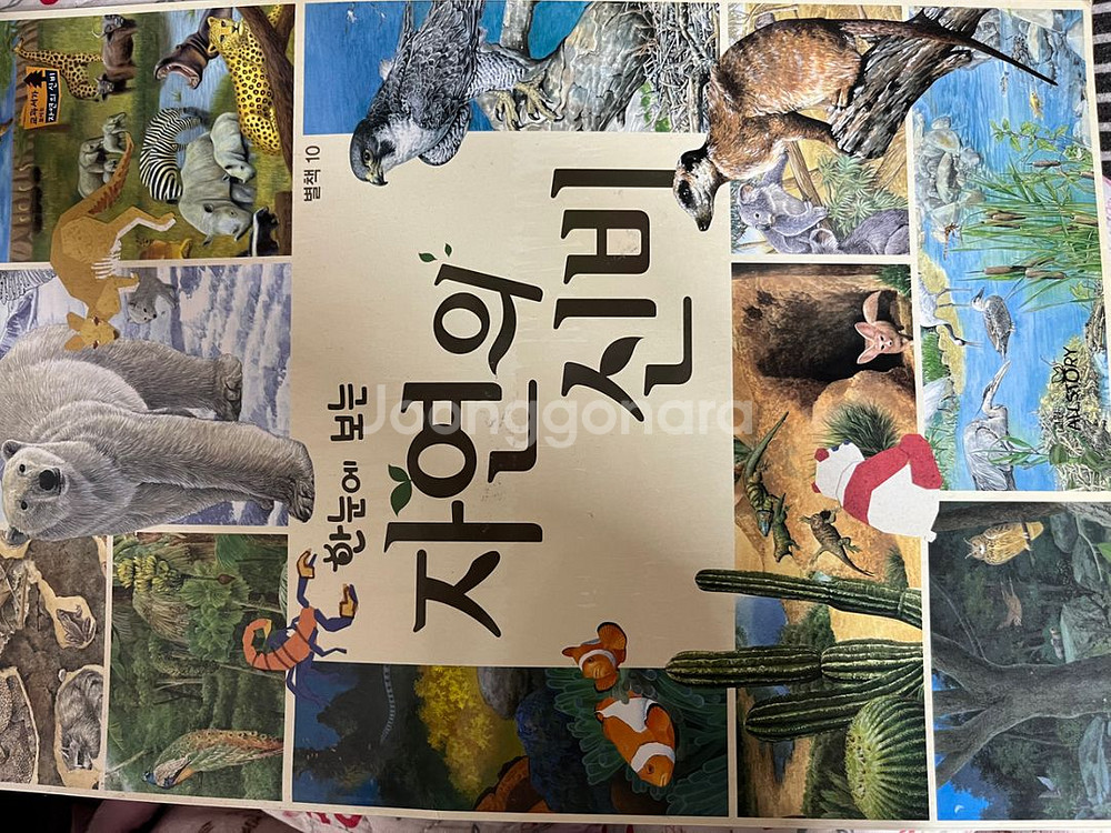 교과서가 보이는 자연의 신비 전권(기본 60권+별책 1--2