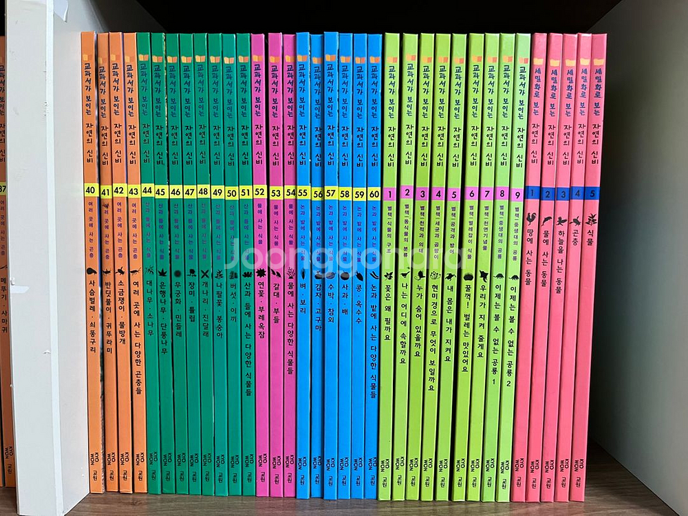 교과서가 보이는 자연의 신비 전권(기본 60권+별책 1--1