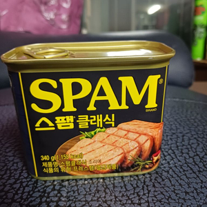 스팸클래식 낱개 340g, 아주싸게팜