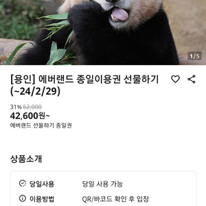 에버랜드 자유이용권 3장(~24.2.29)전 구간 가능