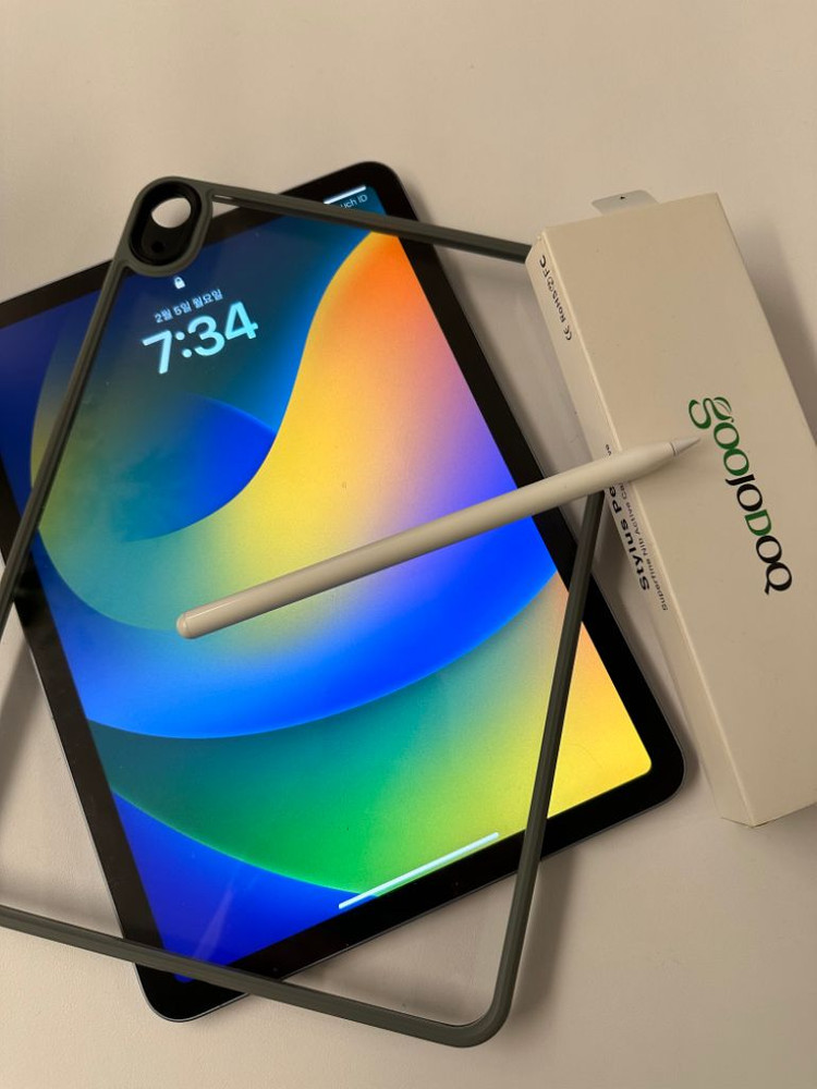 아이패드 에어4 256g (배터리 100%) +구닥팬슬--2