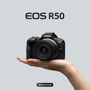 캐논 eos r50 카메라 구합니다