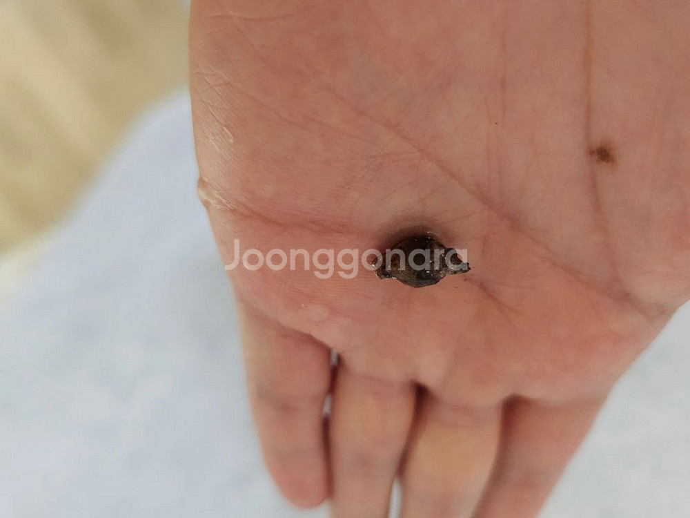 예약--0