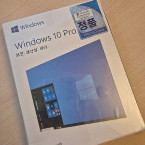 마이크로소프트 윈도우 10 프로 정품 fpp usb