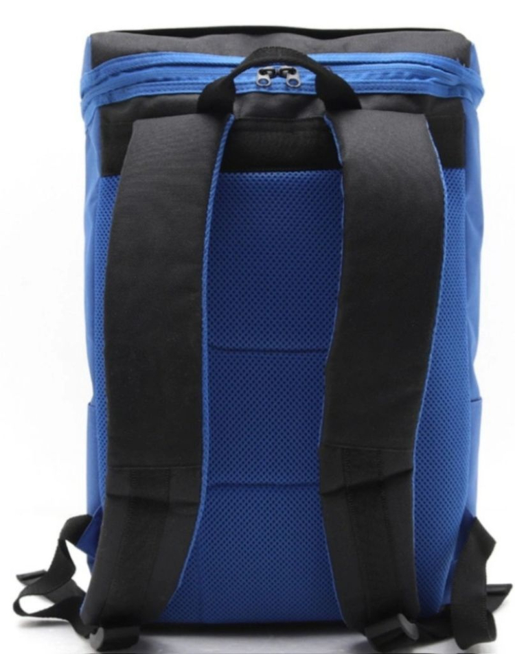 코오롱 스포츠 백팩--1