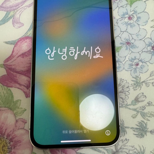 아이폰 12pro 256기가 팝니다