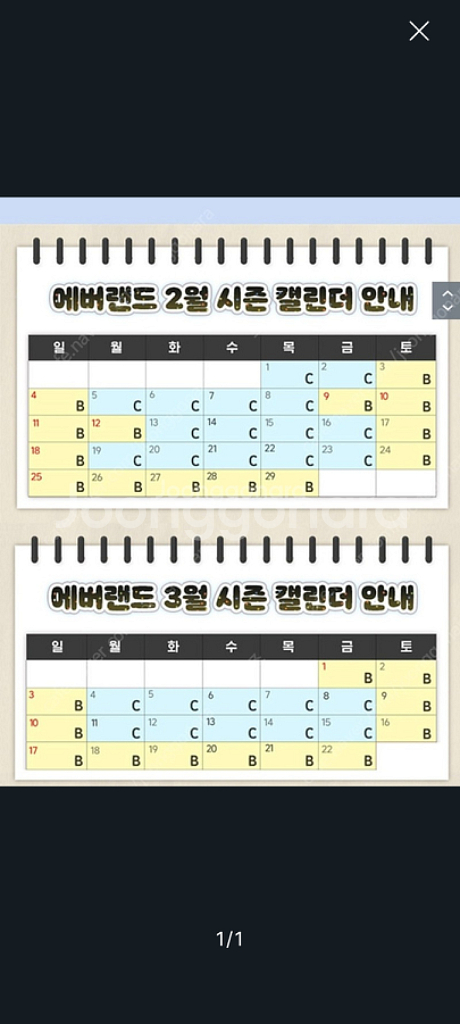 에버랜드(b구간 ) 자유이용권 2매 4만원--1