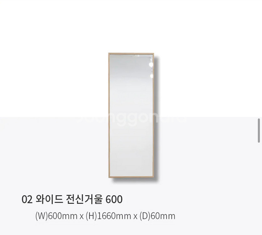 대형전신거울--1