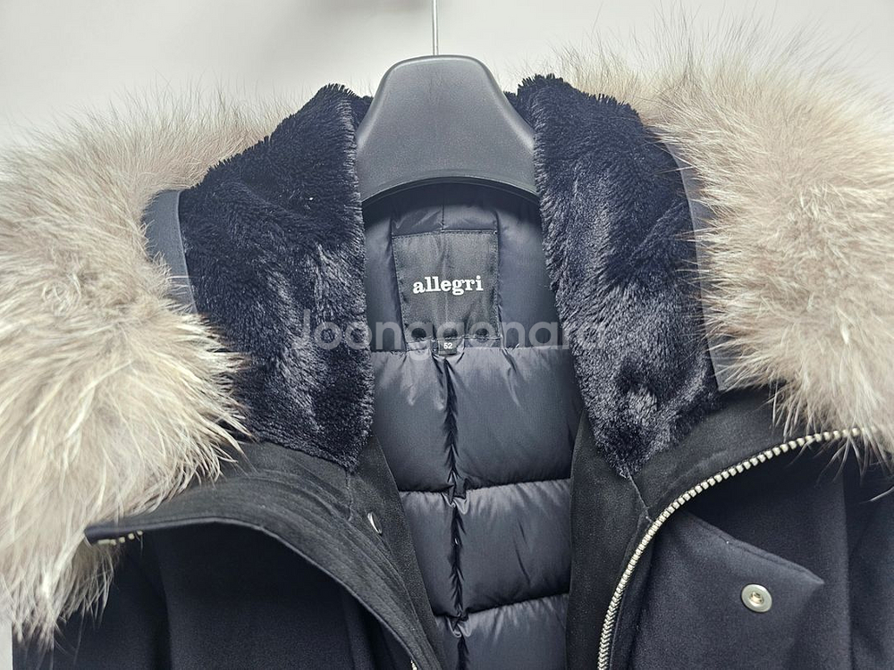 알레그리 폭스퍼 52--1