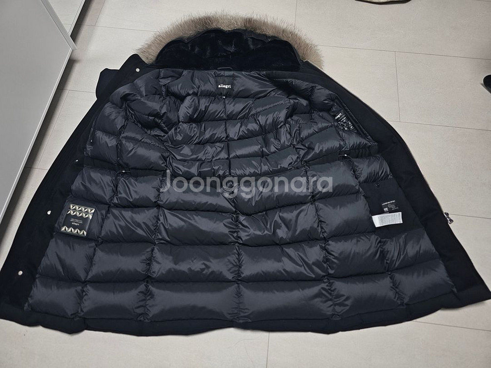 알레그리 폭스퍼 52--2